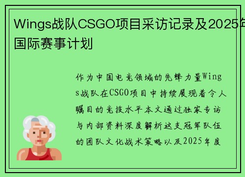 Wings战队CSGO项目采访记录及2025年国际赛事计划