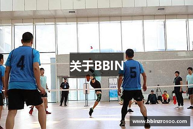 关于BBIN